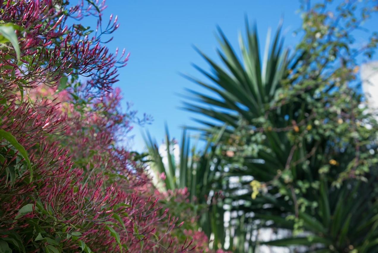 リスボンFlat With A Garden In Belemアパートメント エクステリア 写真